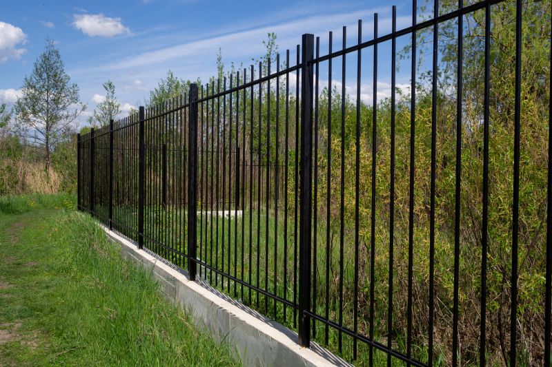 Decorative Metal Fences