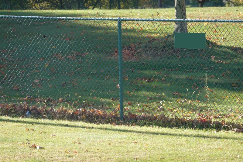 Fence Maintenance Timing